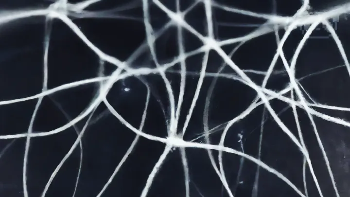Réseaux de nanofils : une avancée vers une intelligence artificielle plus humaine ?