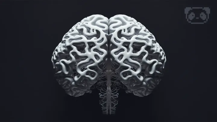 L'oubli : Une forme d'apprentissage selon les neuroscientifiques